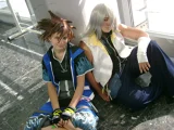 Top-3-Foto - von Jelly