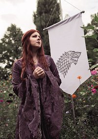 Cosplay-Cover: Sansa Stark