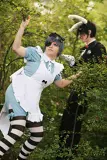 Top-3-Foto - von Koakuma