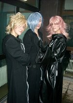 Cosplay-Cover: Marluxia