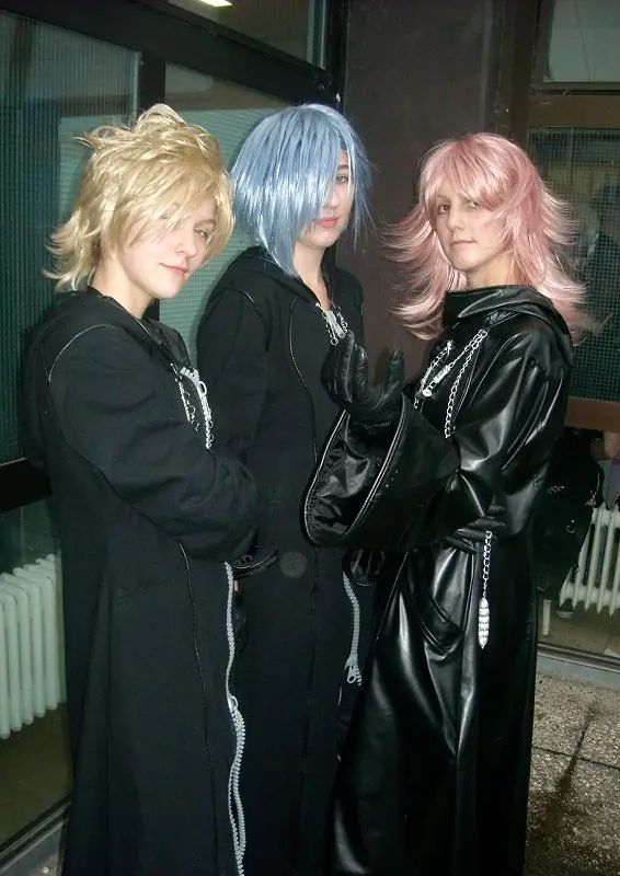 Cosplay-Cover: Marluxia