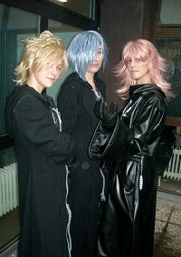 Cosplay-Cover: Marluxia