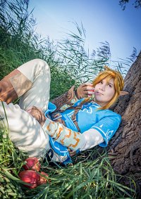 Cosplay-Cover: Link [Breath of the Wild]