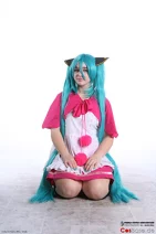 Cosplay-Cover: Hatsune Miku [Story of Night]