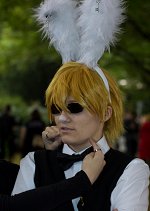 Cosplay-Cover: Shizuo Heiwajima [Alice in Wonderland - White Rabb