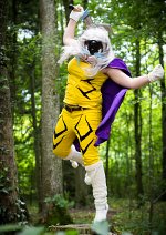 Cosplay-Cover: Raikou-Gijinka