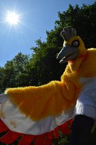 Cosplay-Cover: Shiny Ho-Oh