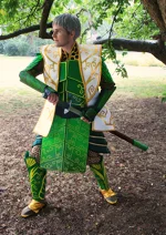 Cosplay-Cover: Ronin