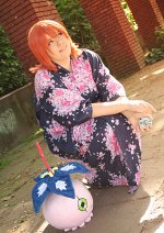 Cosplay-Cover: Sora Takenouchi [Yukata | Tri.]