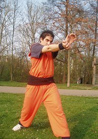 Cosplay-Cover: Son-Gohan