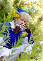 Cosplay-Cover: Link [Blue Tunica]