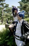 Top-3-Foto - von Nezu