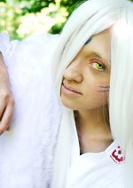 Cosplay-Cover: Sesshoumaru