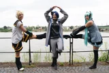 Top-3-Foto - von CaptainLala