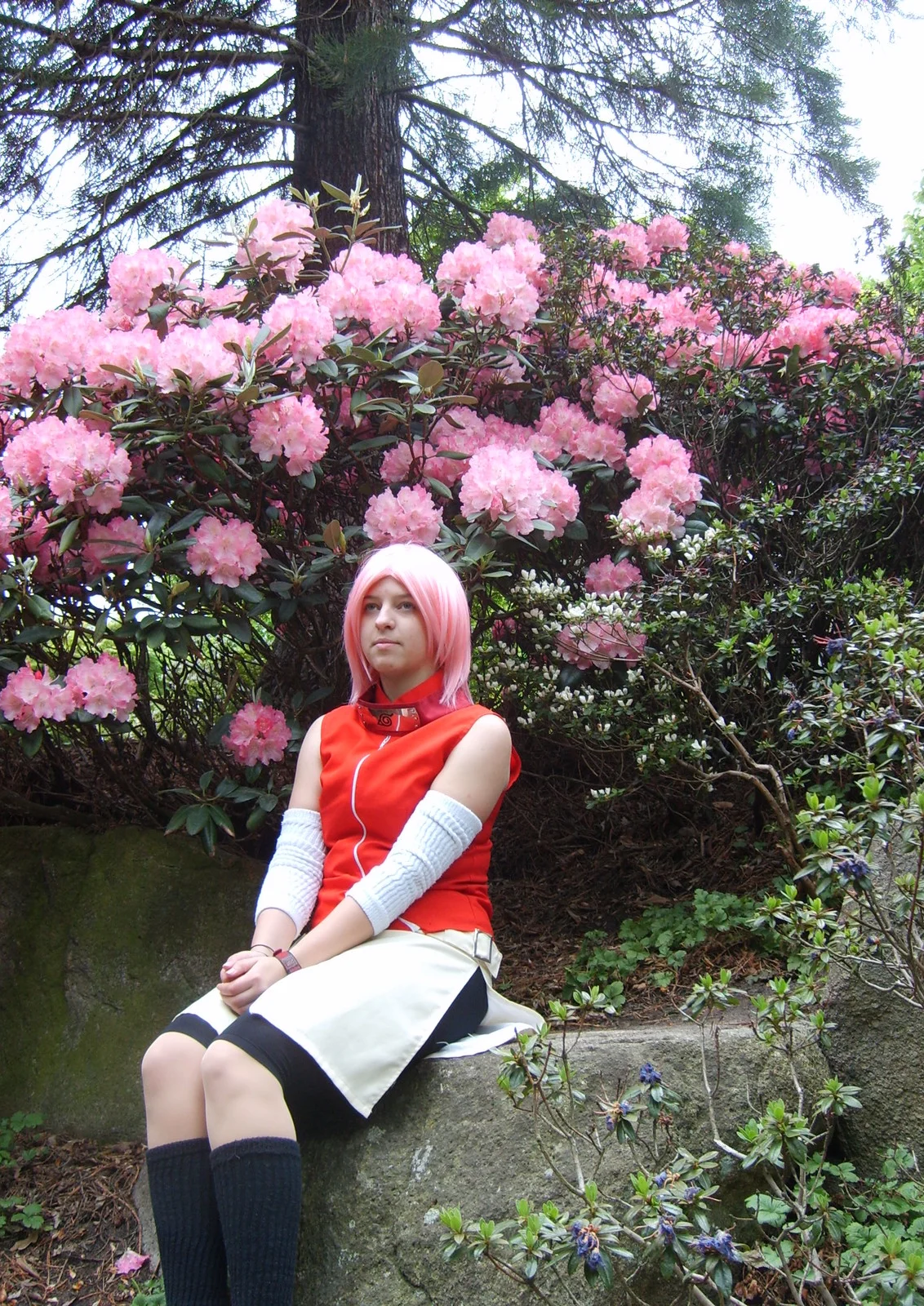 Cosplay-Cover: Sakura (shippuuden)