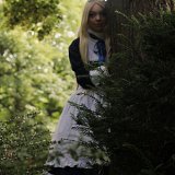 Top-3-Foto - von Kyuubi-