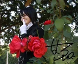 Top-3-Foto - von Anbu