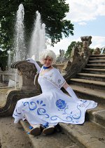 Cosplay-Cover: Serviette
