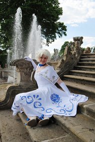 Cosplay-Cover: Serviette