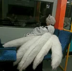 Foto des Kostüms