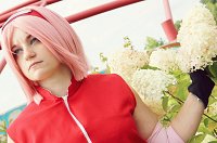 Cosplay-Cover: Sakura Haruno