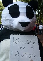 Cosplay-Cover: Panda