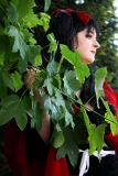 Top-3-Foto - von -E-Chan-