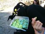 Foto des Kostüms