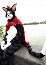 Cosplay-Cover: Cait Sith