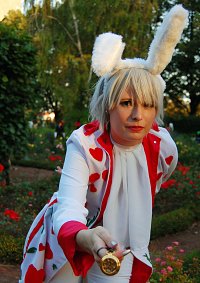 Cosplay-Cover: The White Rabbit ♠ Tim Burton ♠