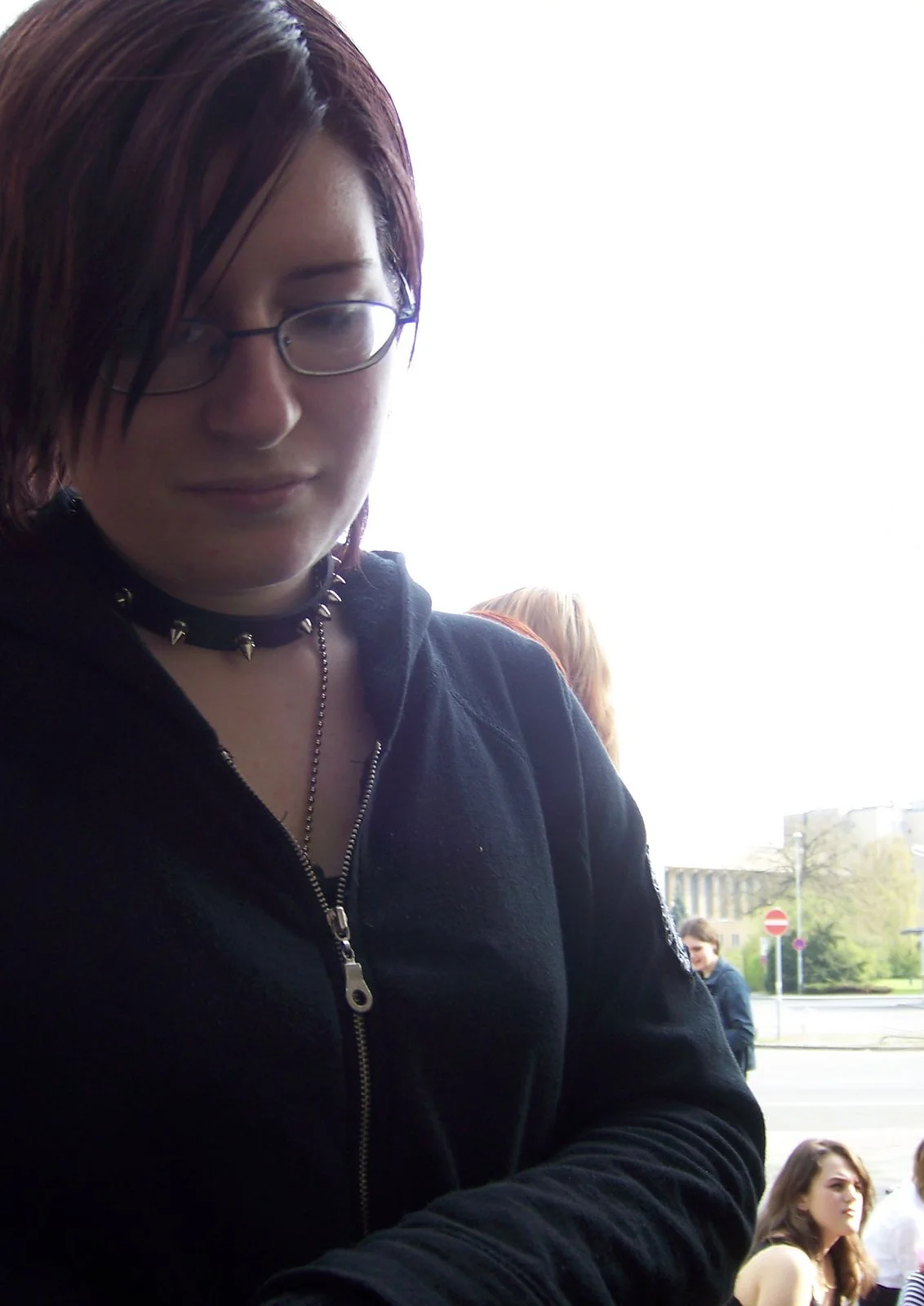 Cosplay-Cover: Konzertgänger