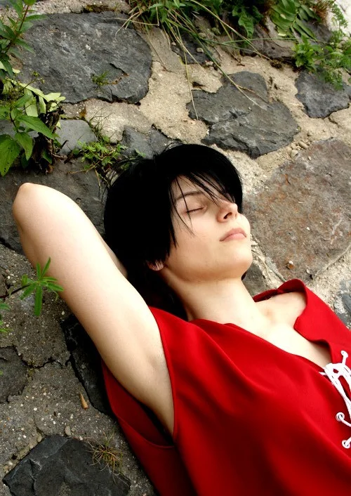 Cosplay-Cover: Van Fanel