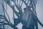 Cosplay-Cover: Gandalf der Graue [Hobbit]