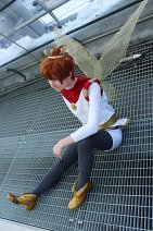 Cosplay-Cover: Cornelius (Thumbelina)