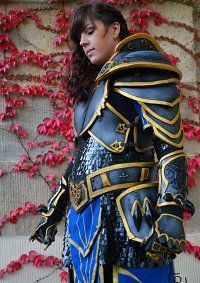 Cosplay-Cover: Anduin Lothar (female)