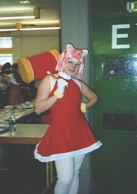 Cosplay-Cover: Amy Rose