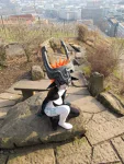 Foto des Kostüms