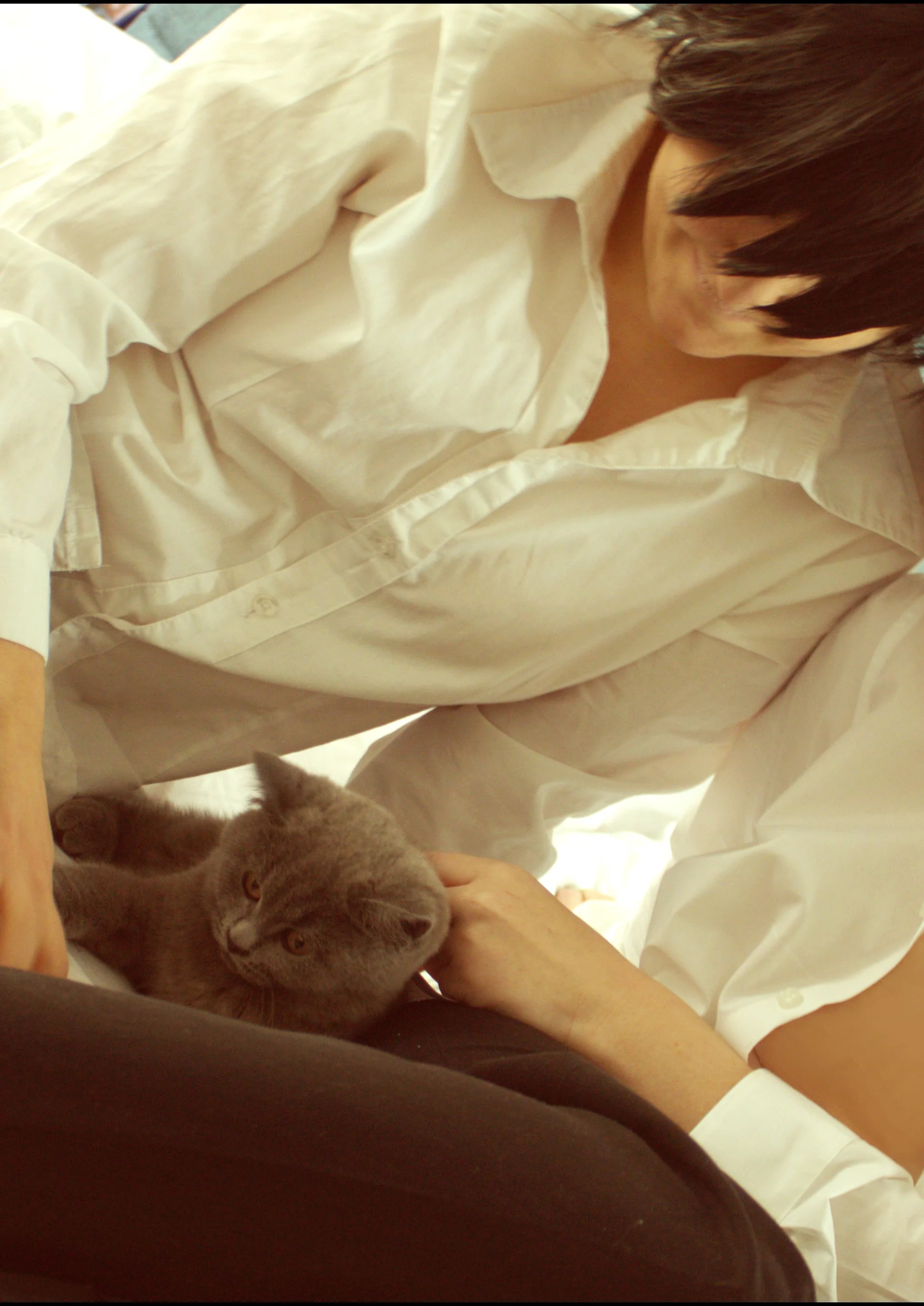Cosplay-Cover: Lelouch