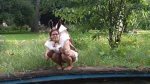 Foto des Kostüms