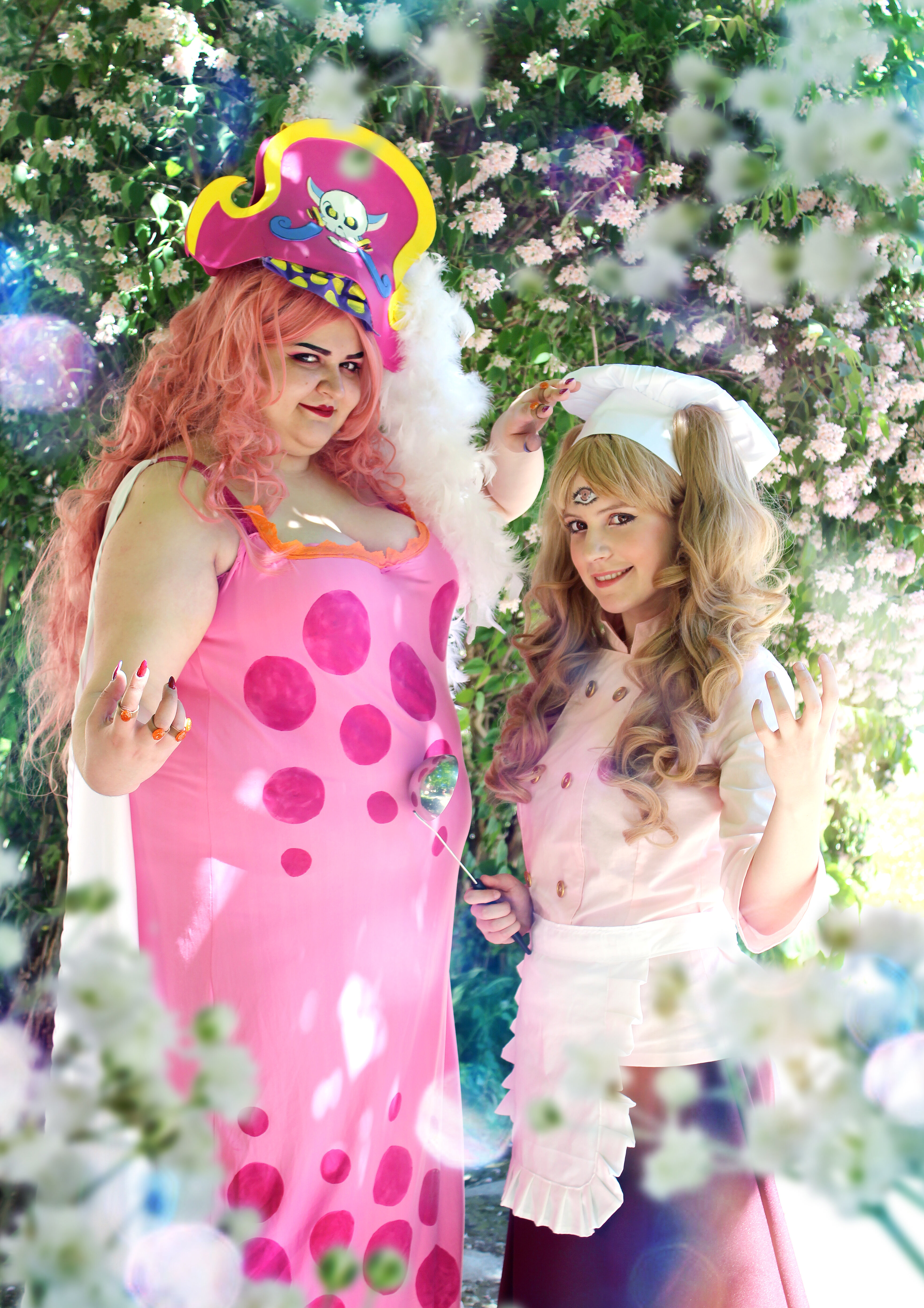 Cosplay-Cover: Charlotte Pudding -Cook-