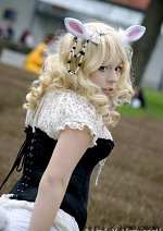 Cosplay-Cover: White Rabbit✿