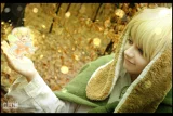 Top-3-Foto - von Toshi