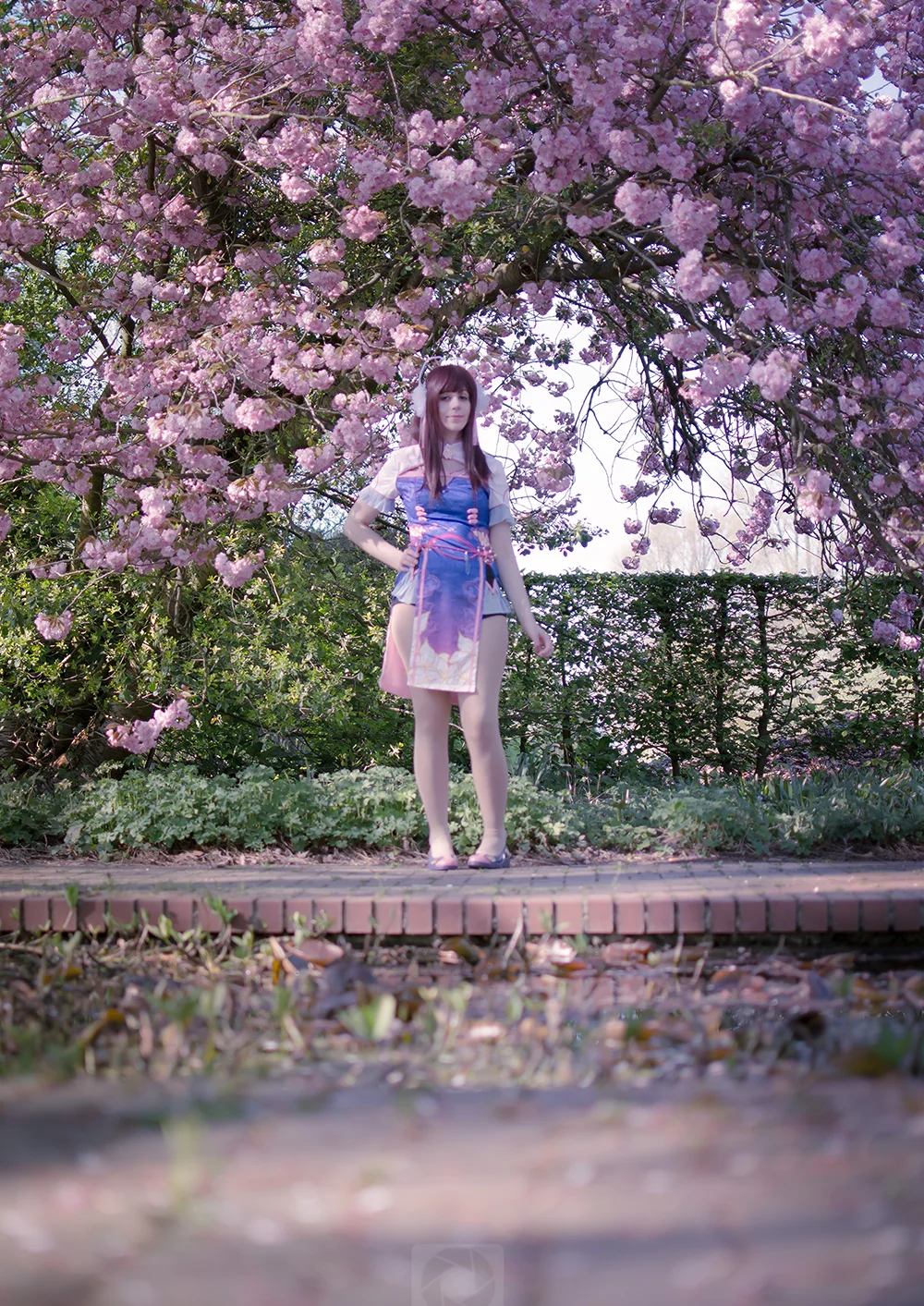 Cosplay-Cover: D.va [Hana Song] ○ Cheongsam