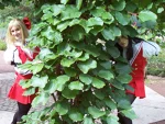 Foto des Kostüms