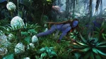 Cosplay-Cover: Neytiri