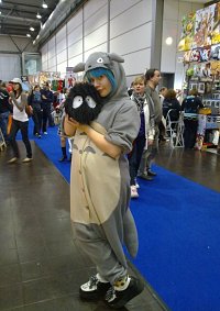 Cosplay-Cover: Totoro