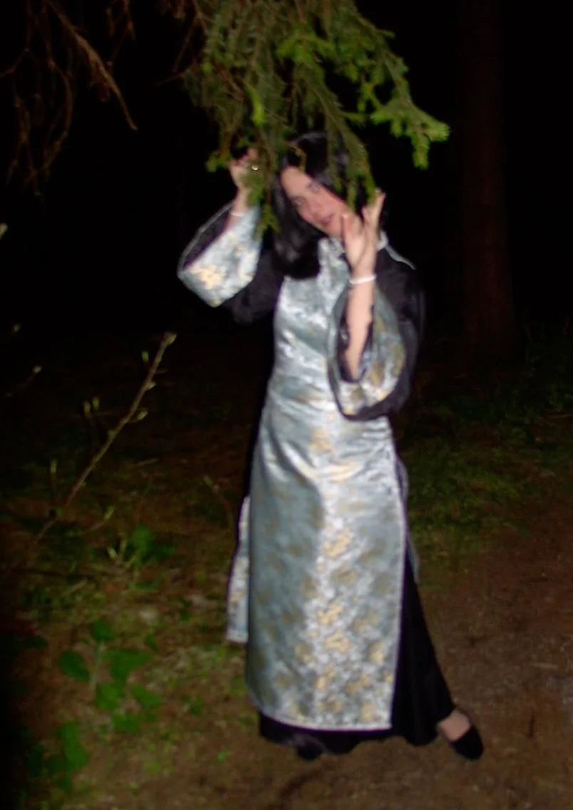 Cosplay-Cover: Count D