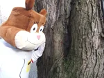 Foto des Kostüms