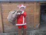 Cosplay-Cover: Chopper Weihnachtsmann