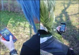 Top-3-Foto - von xmrsmalicex